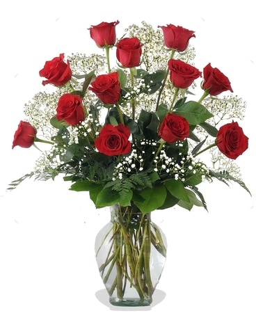 Classic Red Roses